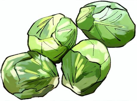 brussel sprout clipart