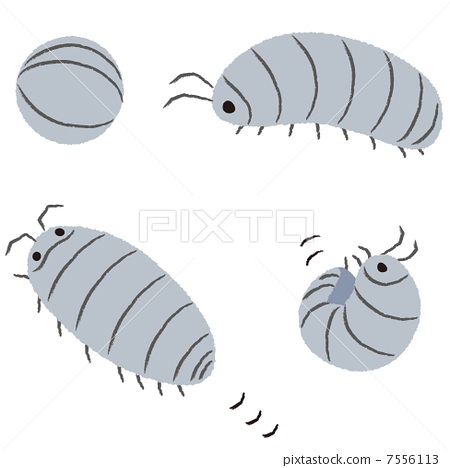 Explore the Best Rolliepollie Art | DeviantArt