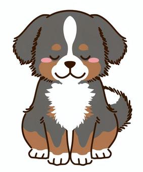 Bernese Mountain Dog Peeking Clipart svg eps png jpg-Vector Clip Art-Berner Download Files for Signs, T-Shirts, Printing, Logo Designs, Etc