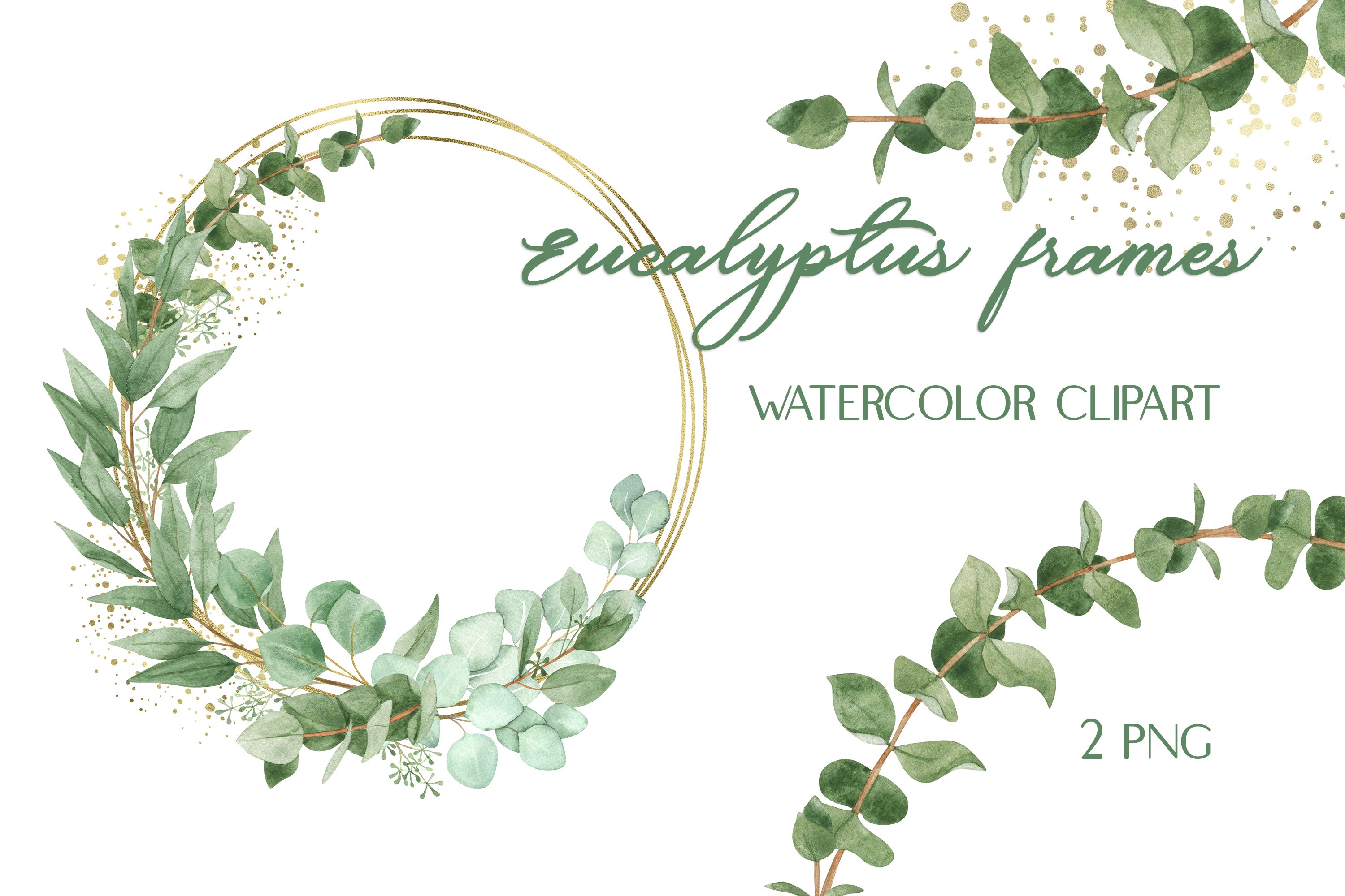 free eucalyptus clipart