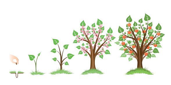 growth clipart