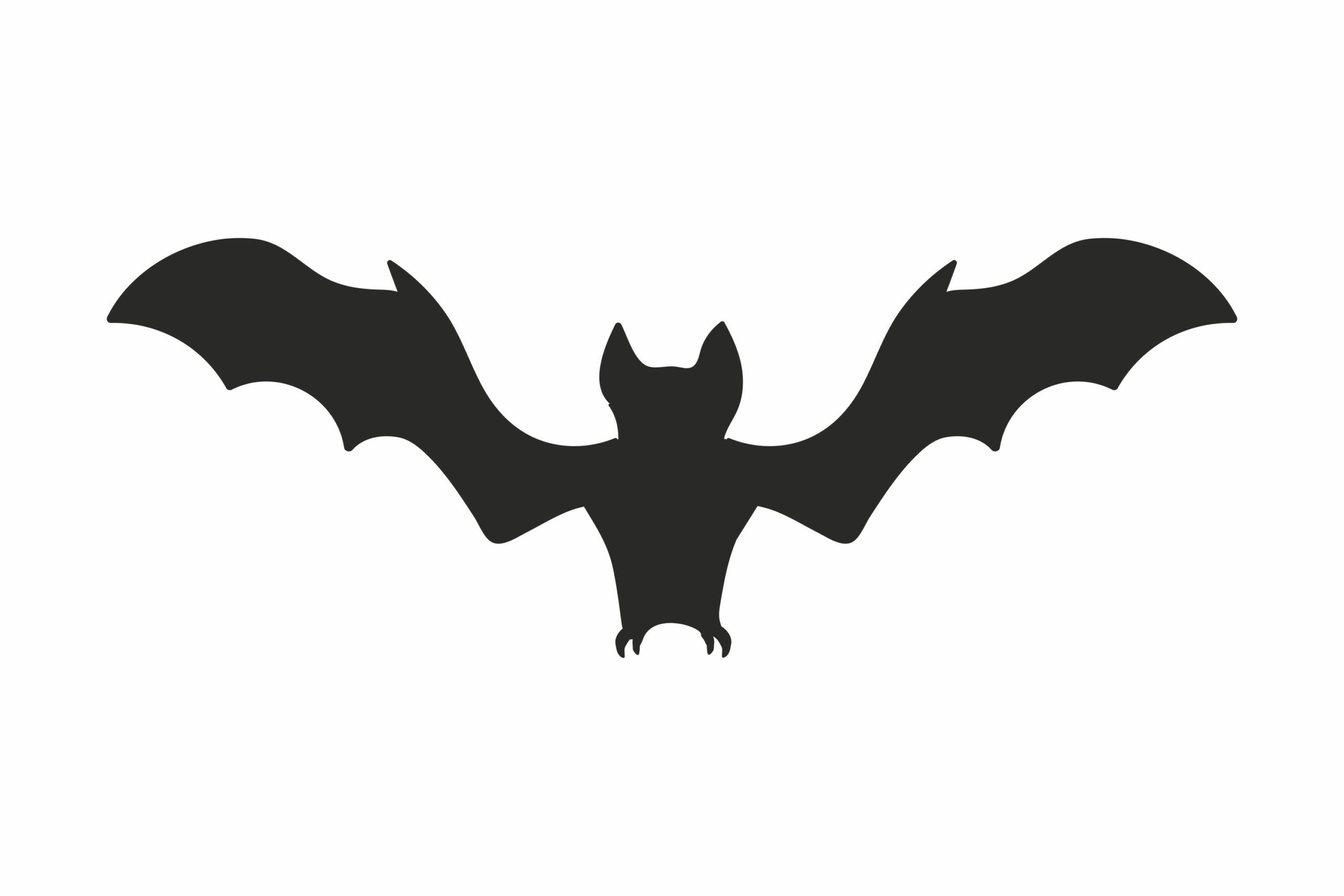 Bat Bundle SVG, Bat Clipart, Bat Cricut Graphic by camelsvg - Clip Art ...