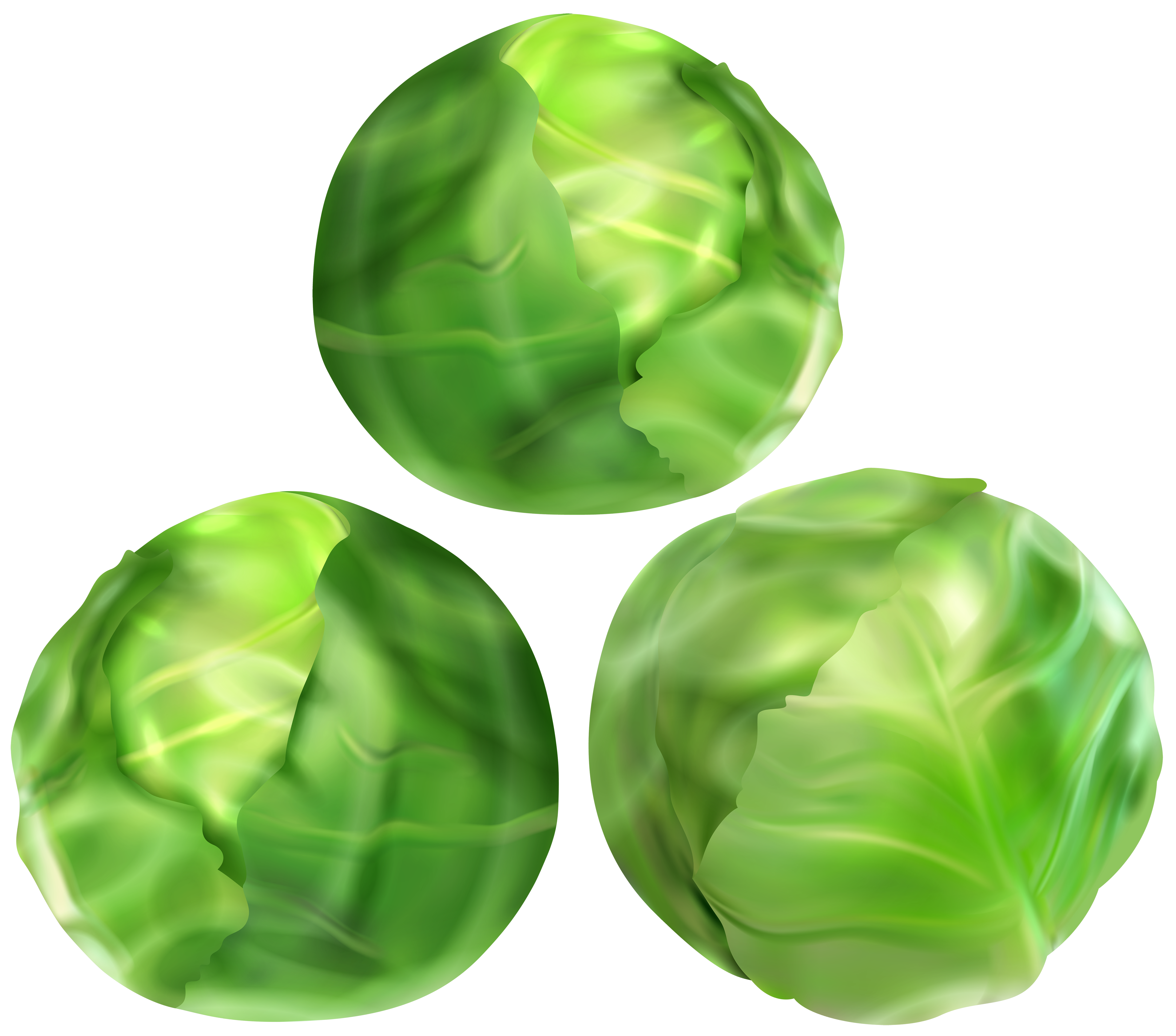 brussel sprout clipart