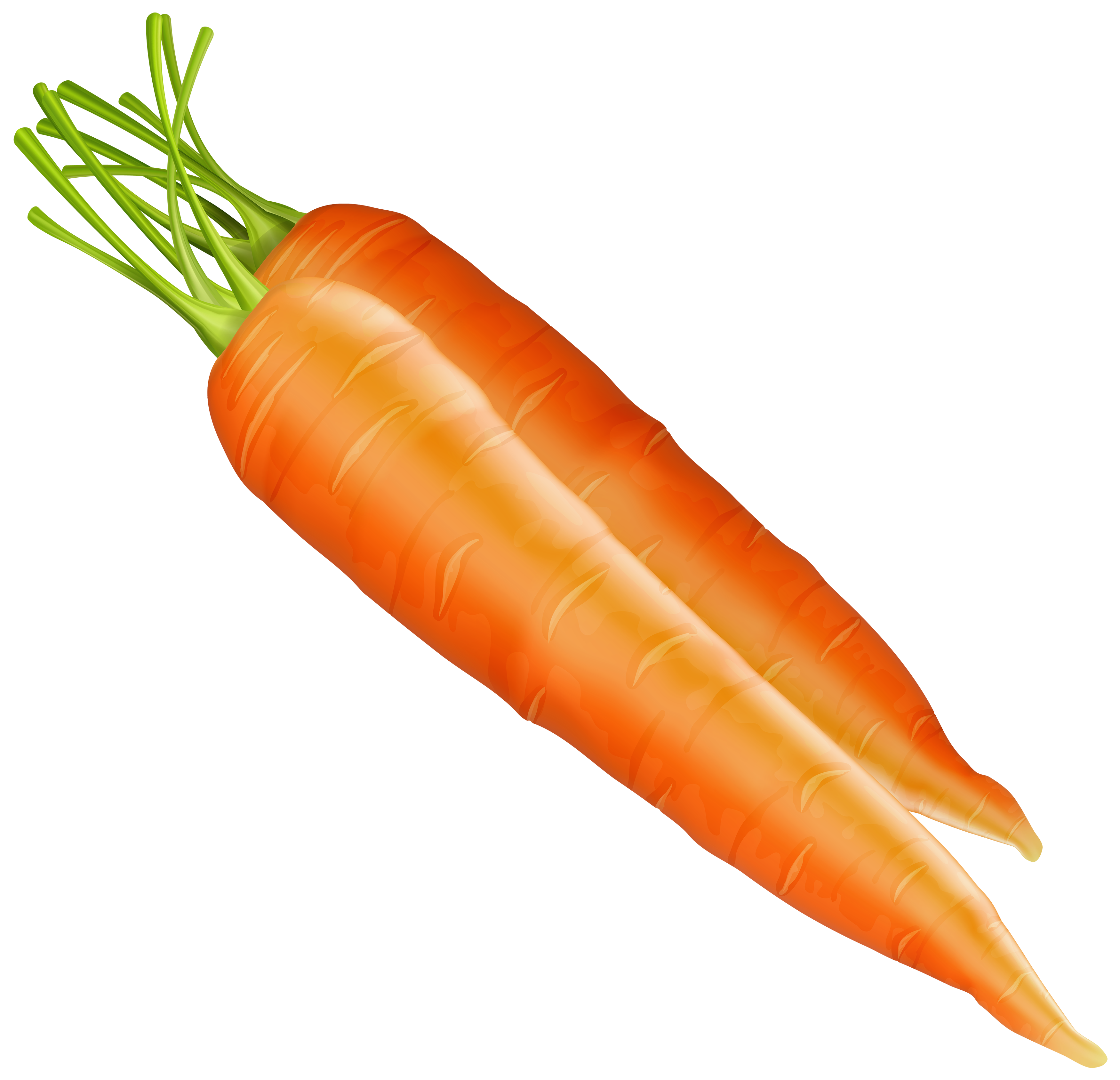 Картинка овощей по отдельности. Овощи по отдельности. Морковь на белом фоне. Овощи морковка. Морковь картинки для детей цветные.