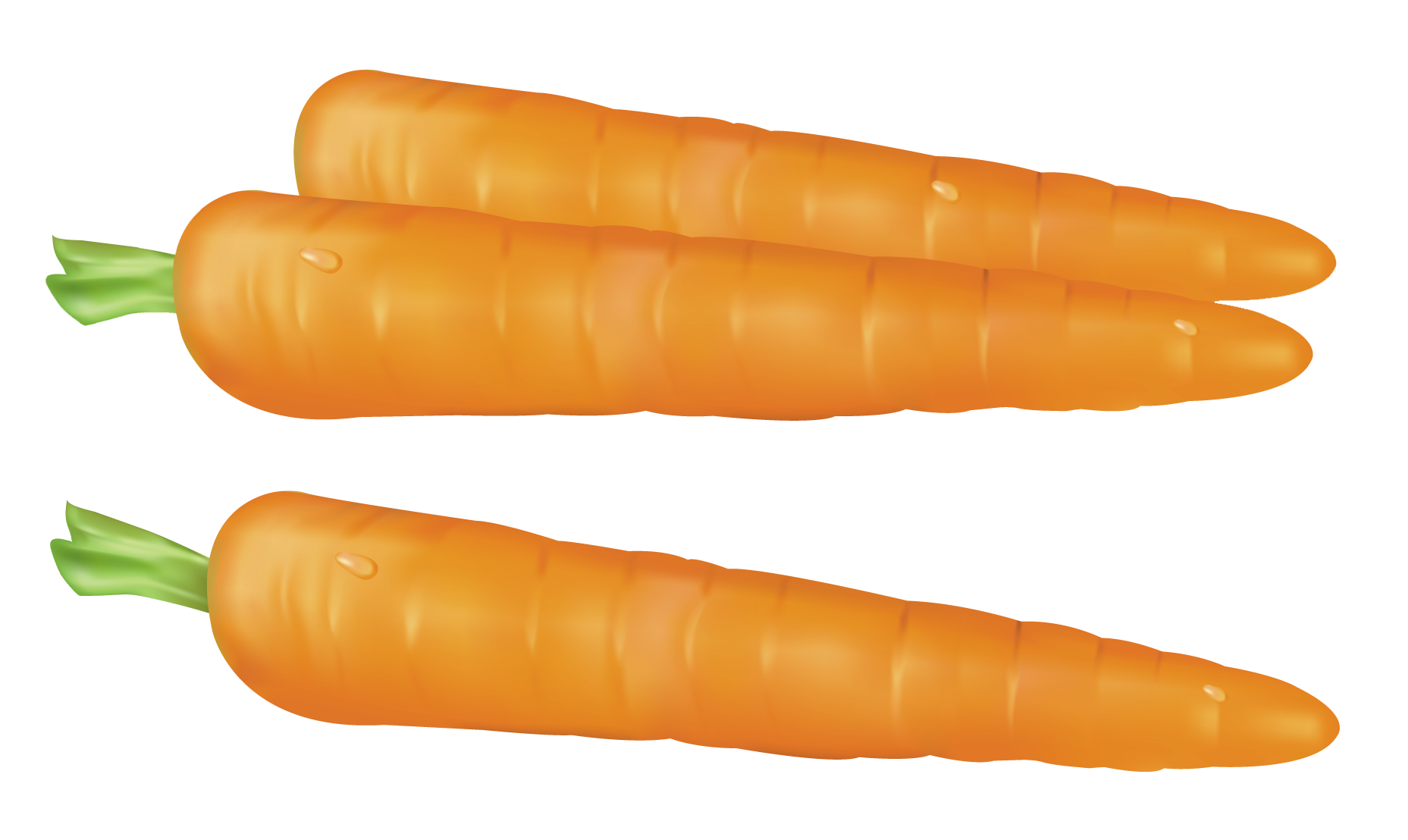 Carrot vegetable. Морковь на белом фоне. Морковь на прозрачном фоне. Морковь для детей. Морковка рисунок.