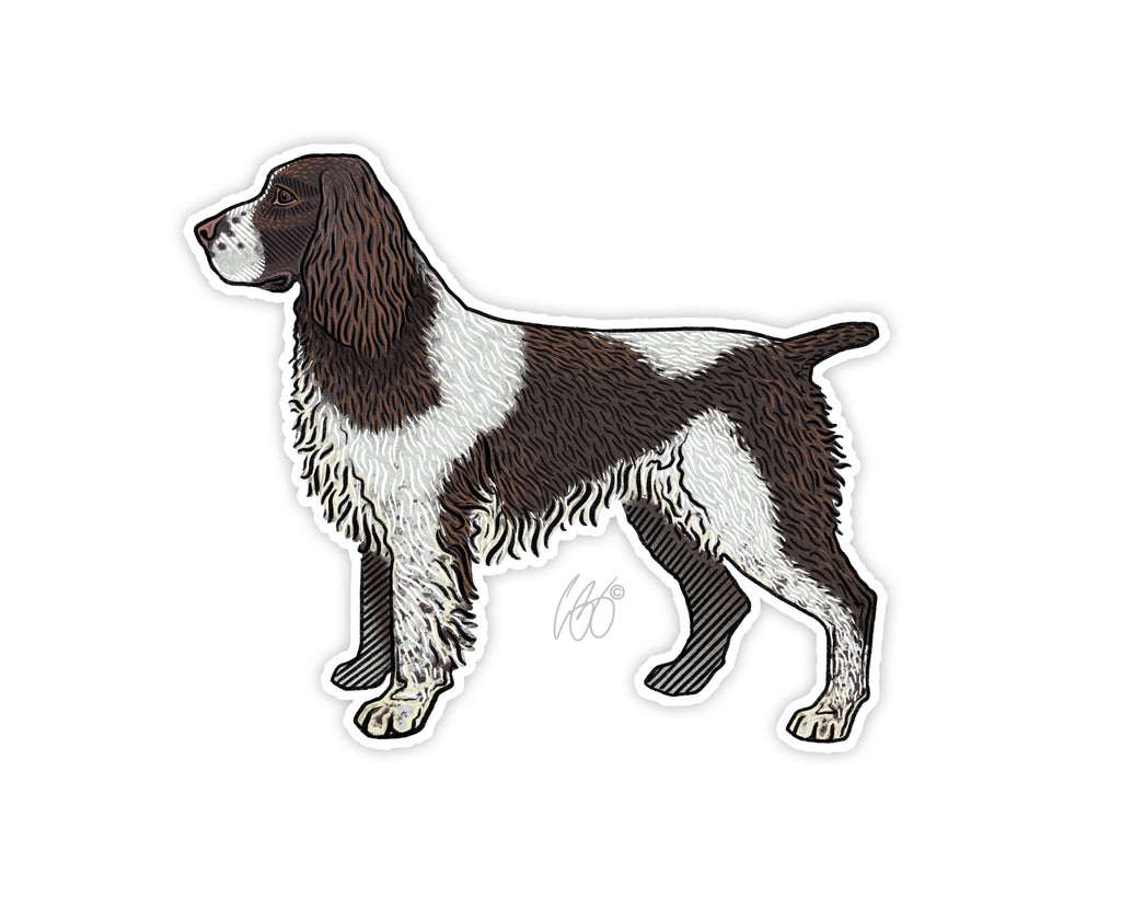 English Springer Spaniel PNG and English Springer Spaniel Clip Art