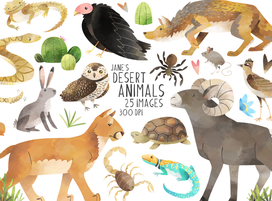 Creating4 the Classroom - ⭐️New Desert Clipart set just added to 