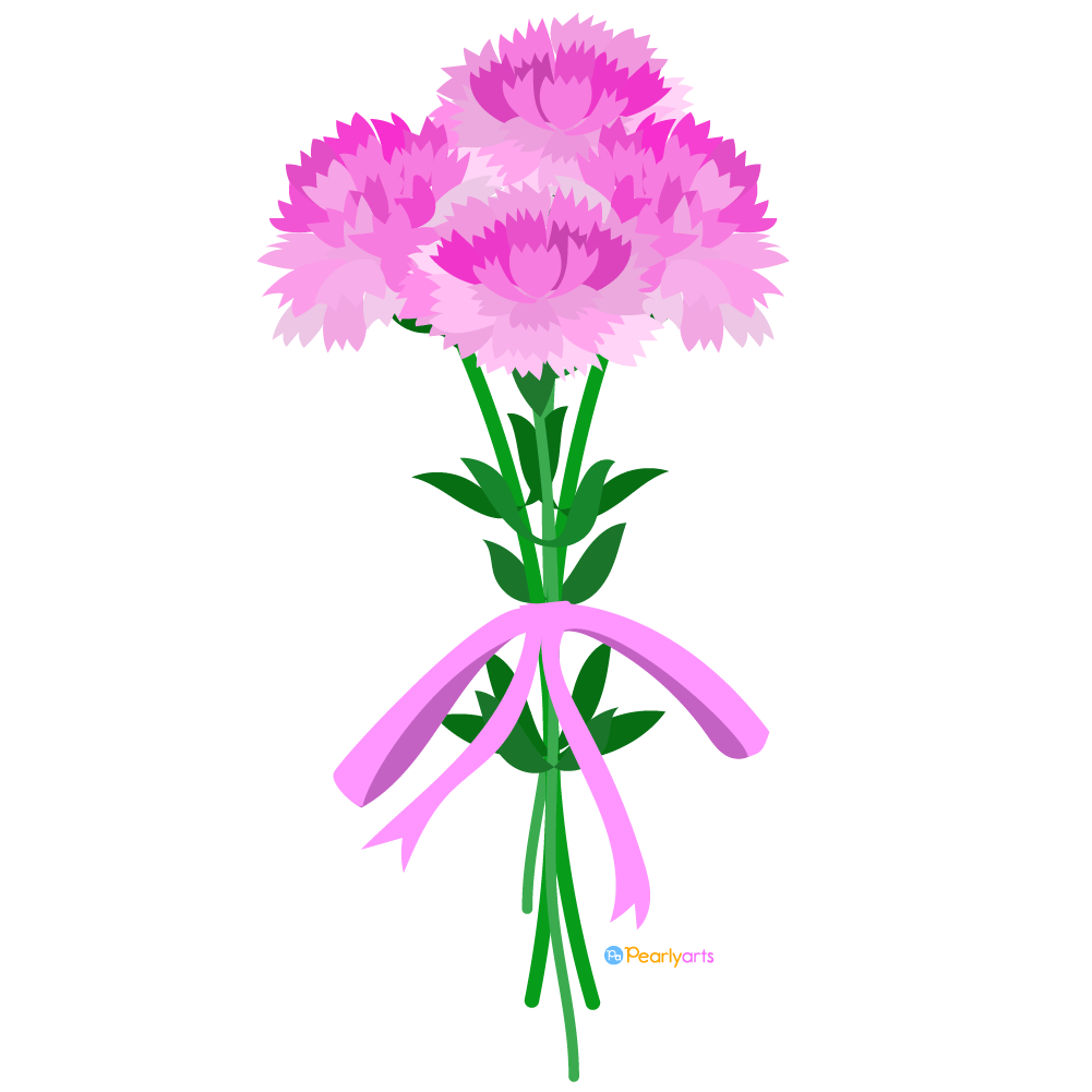 Flower Carnation Images Free Photos PNG Stickers Wallpapers Clip 