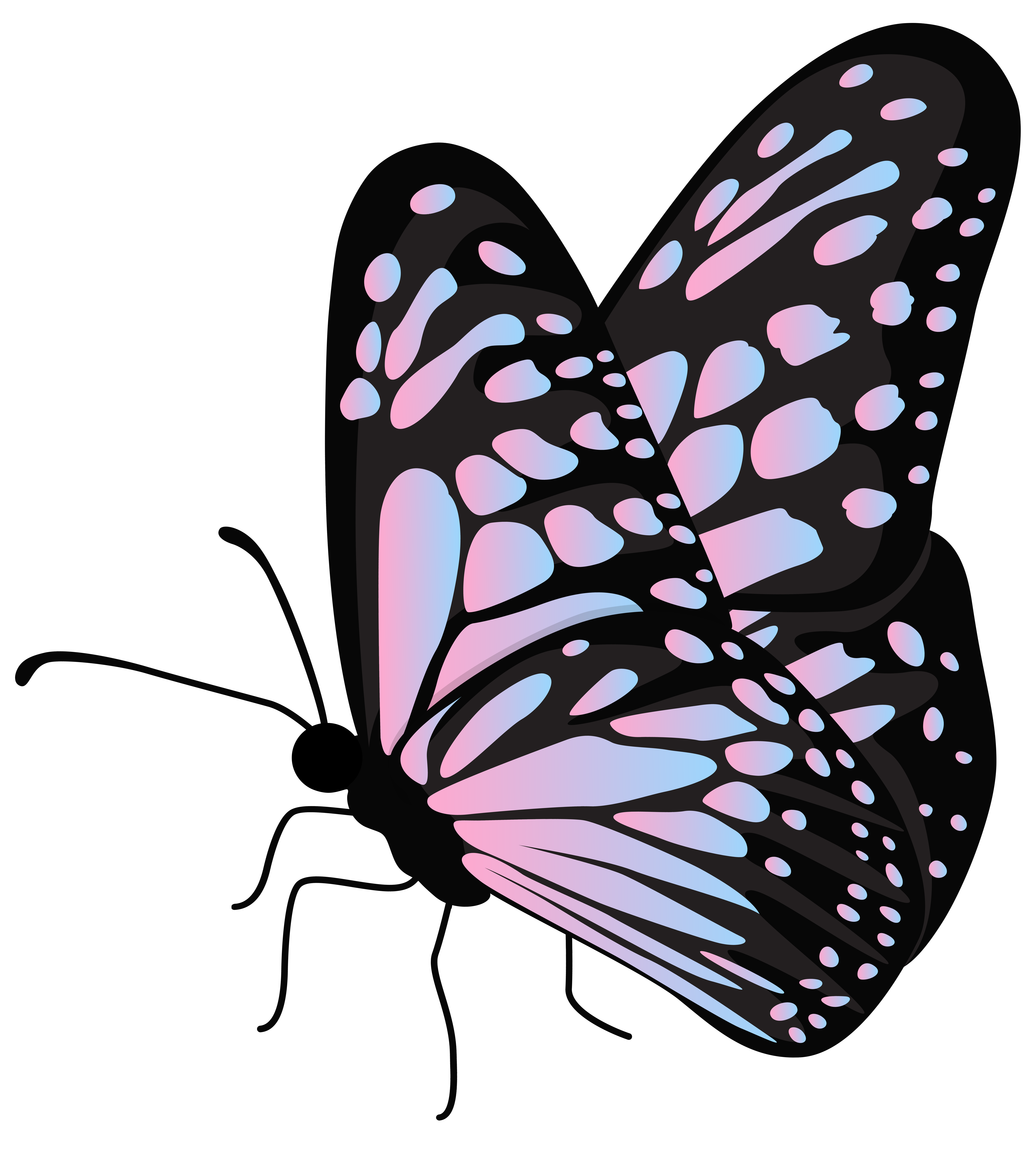 765 Flying clipart - Graphics Factory