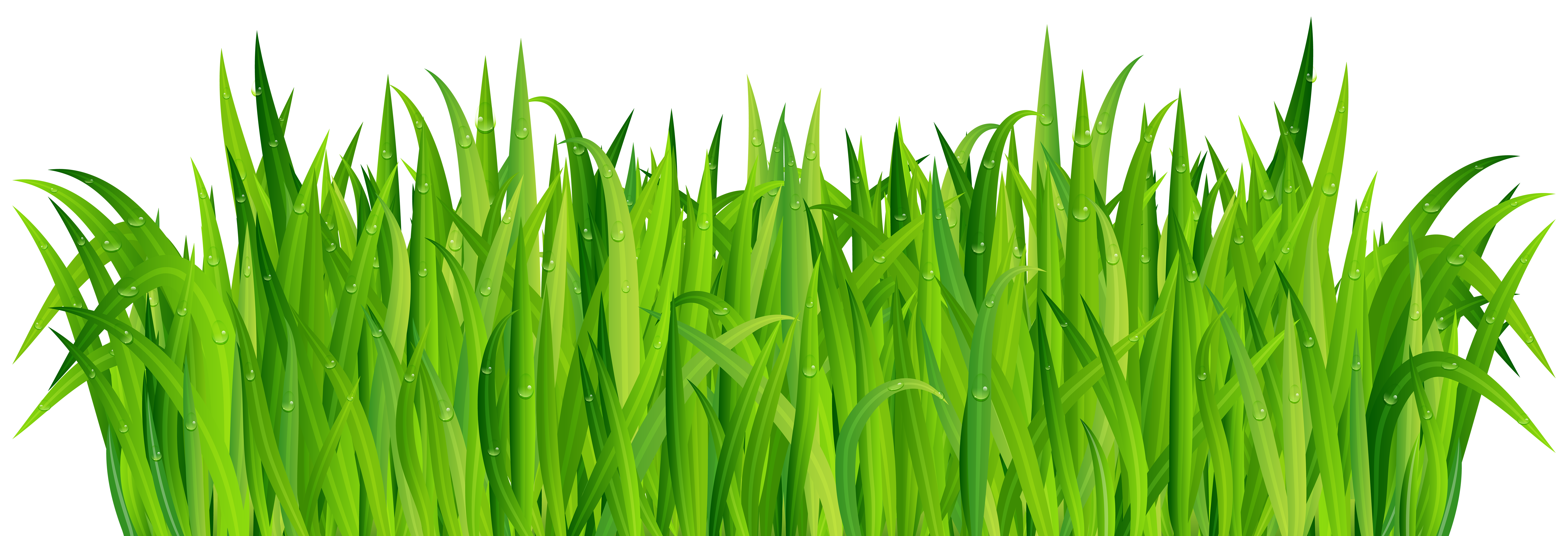 Grass PNG transparent image download, size: 7327x3295px