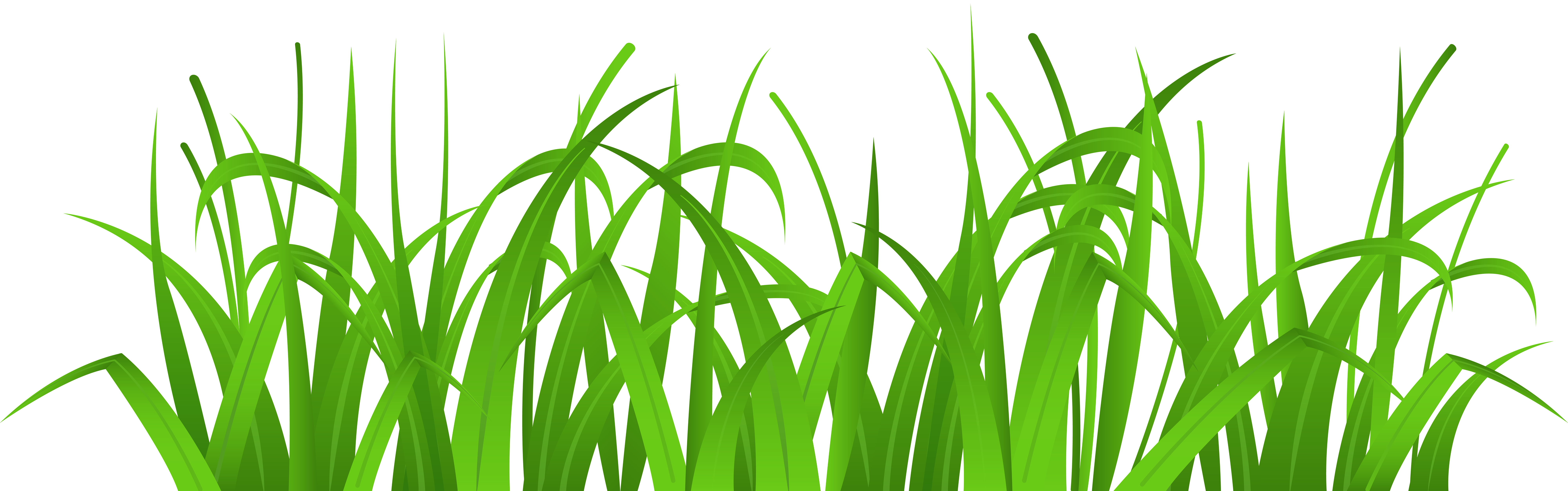 Grass PNG Clip Art Image​  Gallery Yopriceville - High-Quality - Clip Art  Library