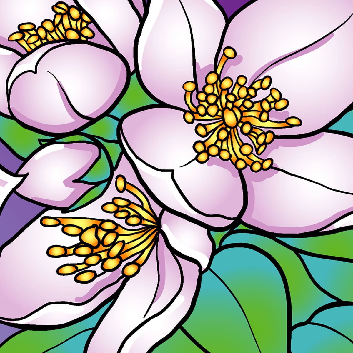 jasmine flower clipart