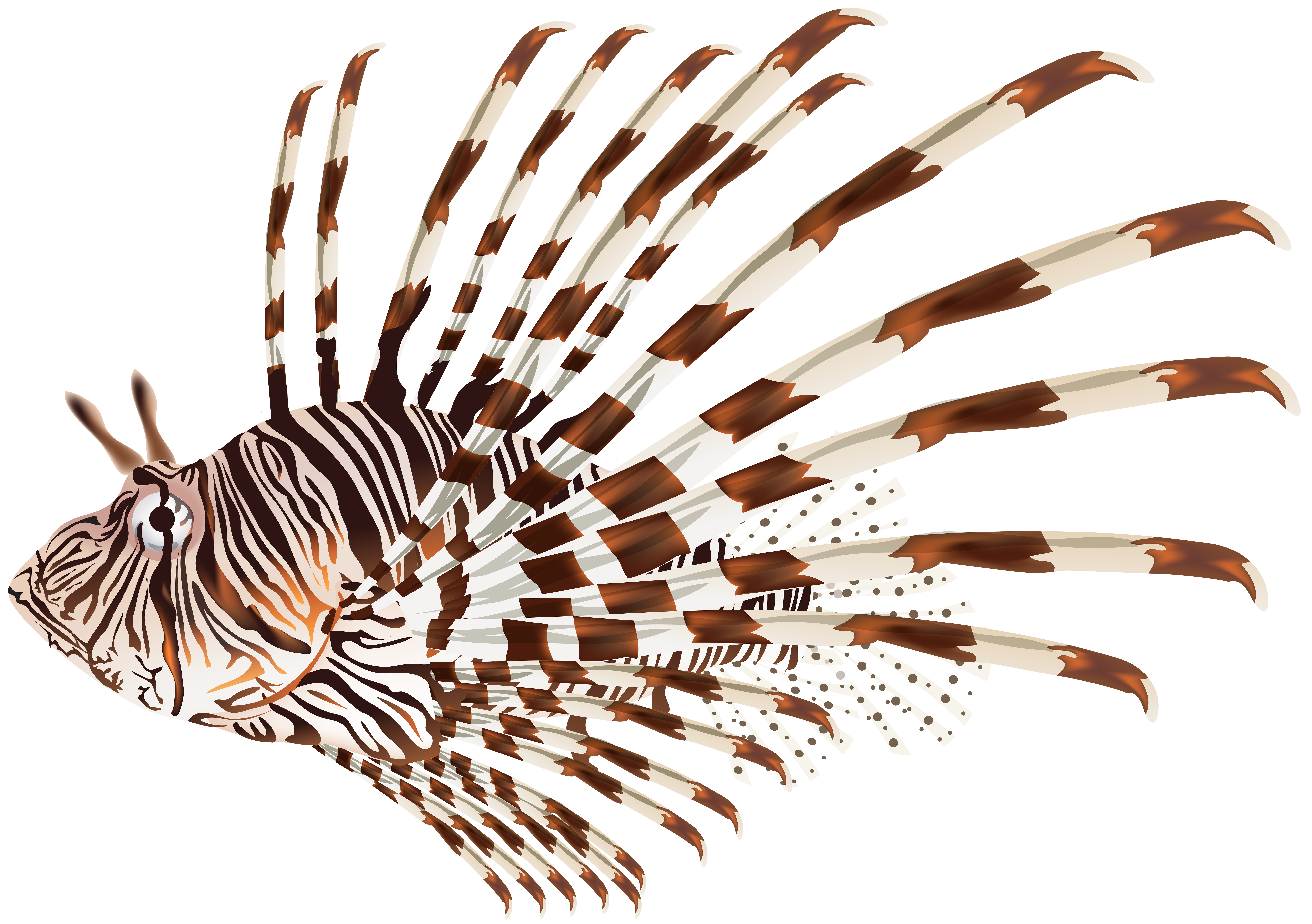 Lionfish clipart images and royalty-free illustrations | Clipart.com