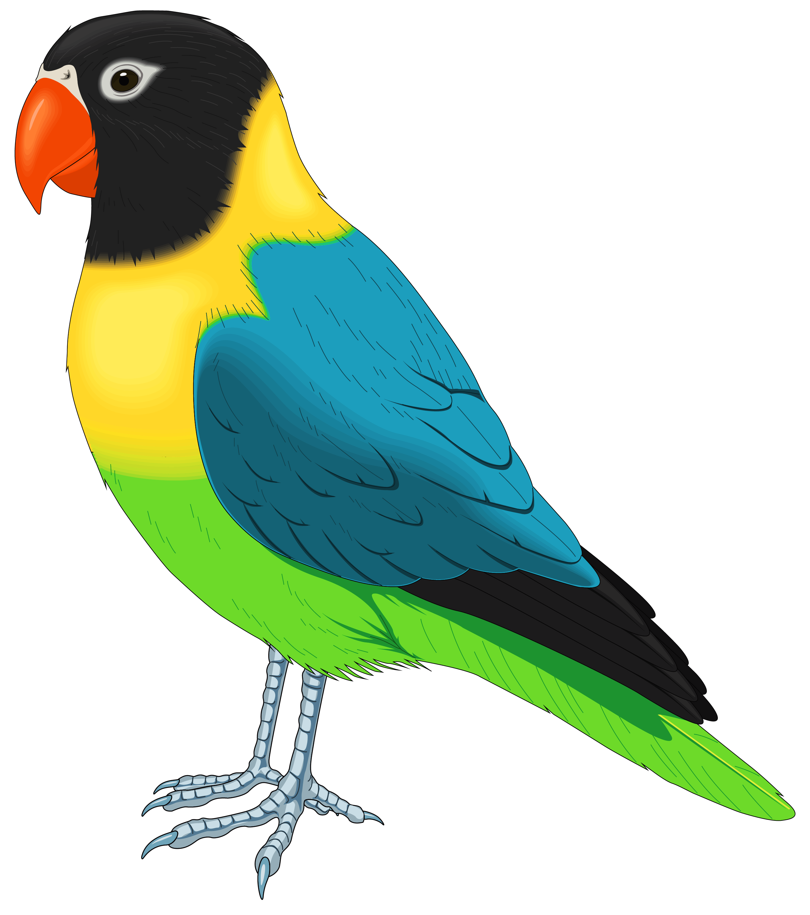 Birds Clip Art at Clker.com - vector clip art online, royalty free 