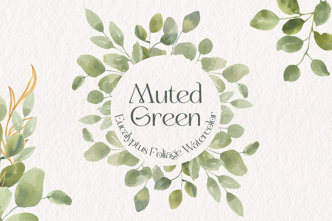 free eucalyptus clipart