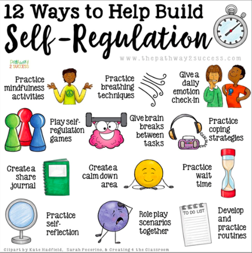 What Is Self Regulation In The Classroom At Donald Blanton Blog What Is Self Regulation In The Classroom At Donald Blanton Blog