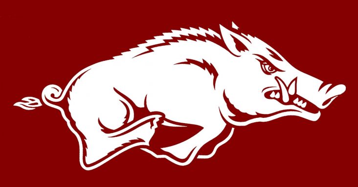 Some Additional Quotes on Arkansas: A Tribute | Arkansas, Arkansas 