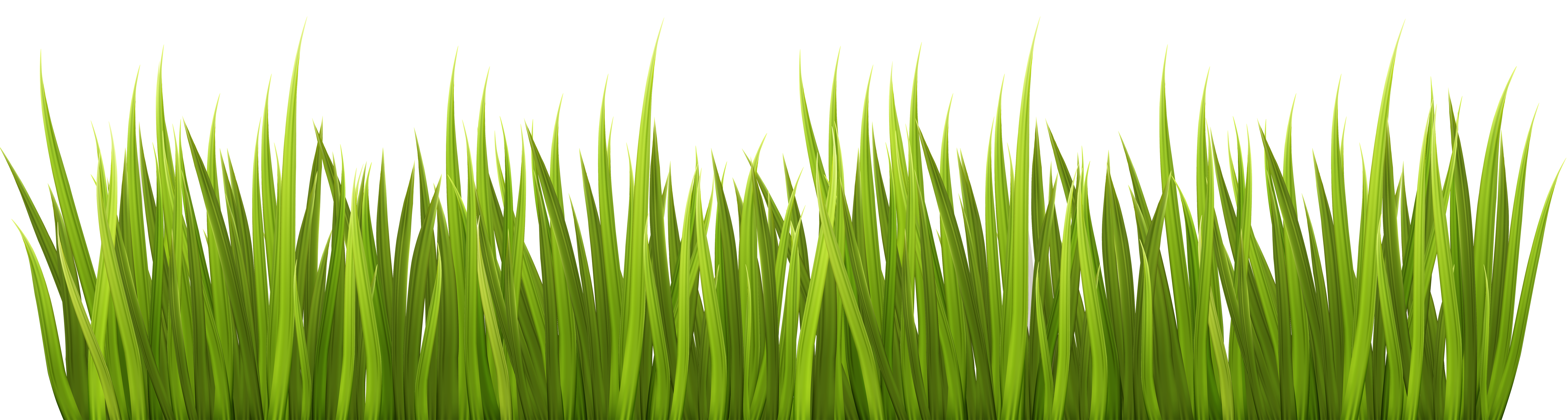 Grass Clipart Images - Free Download on Clipart LIbrary - Clip Art