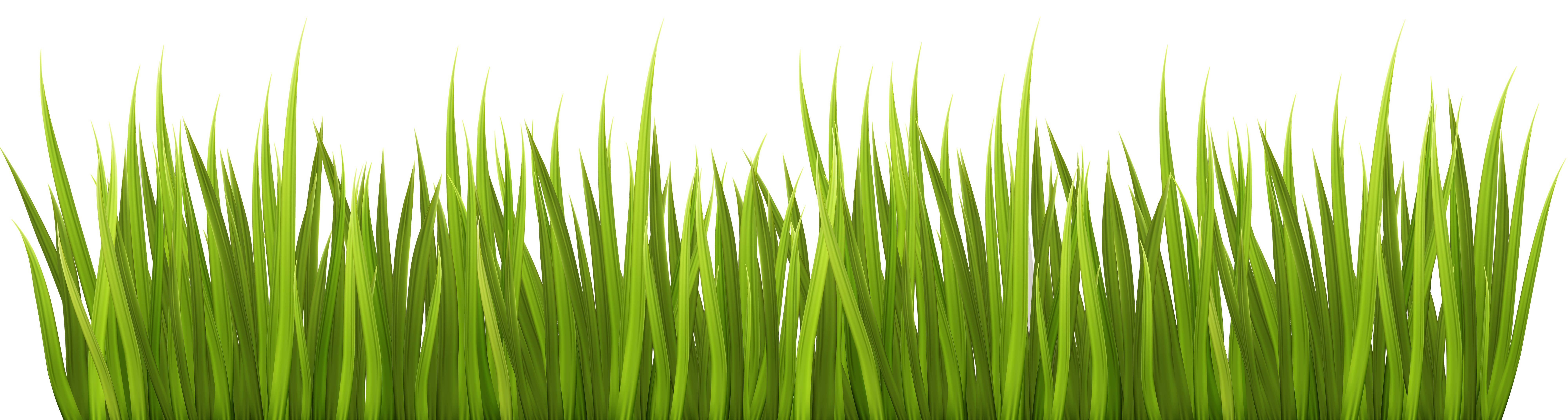 Grass PNG transparent image download, size: 7327x3295px