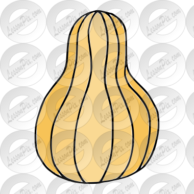 butternut squash clipart