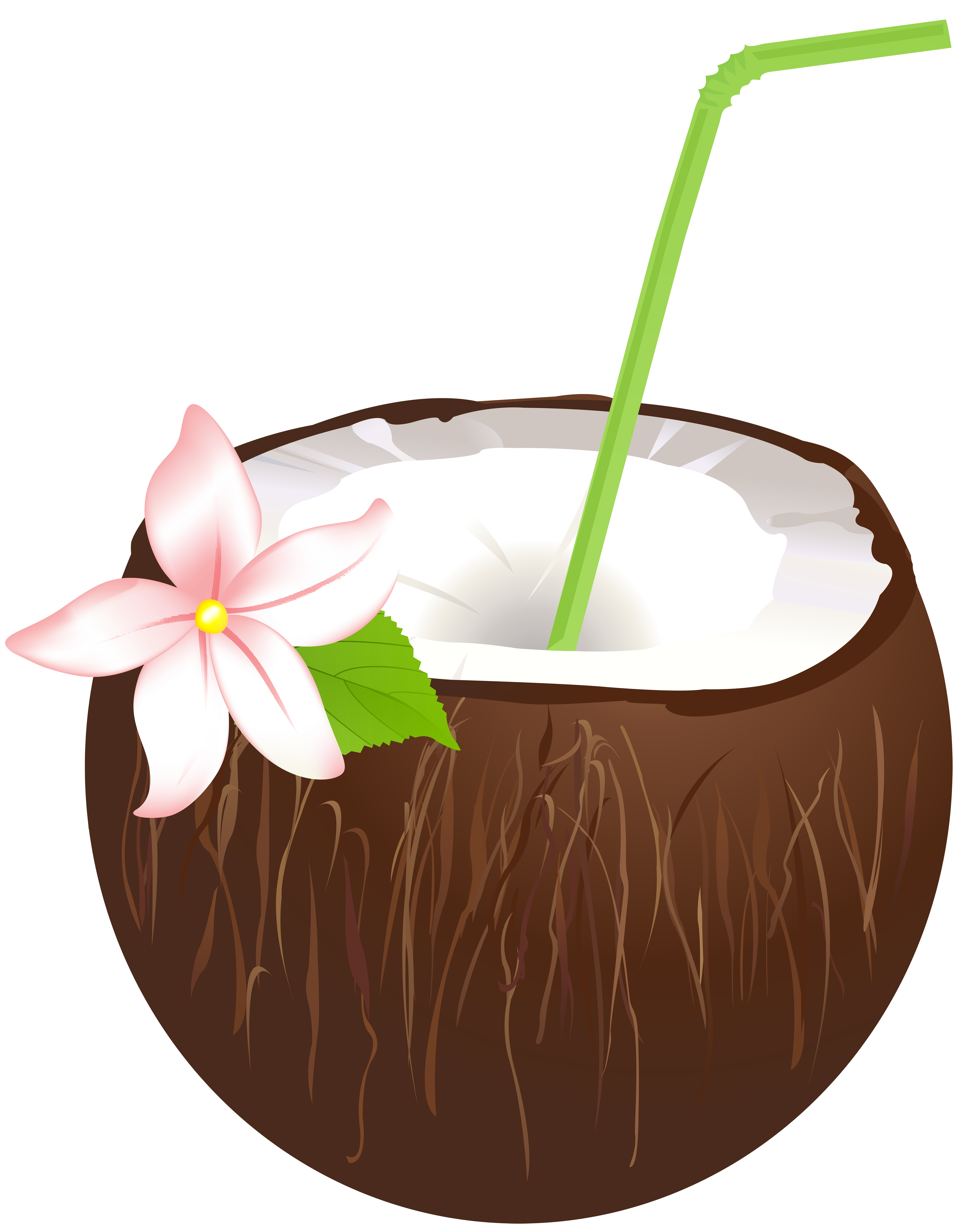 coconut drink clipart