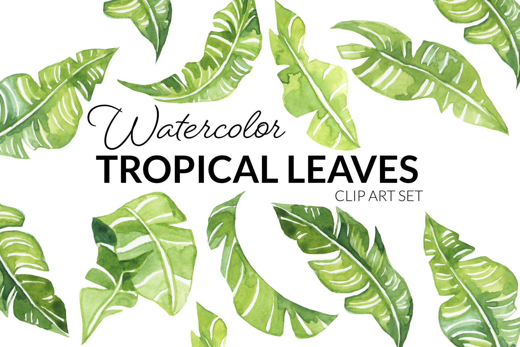 Tropical Leaf Clipart Vector Set Instant Download Personal And