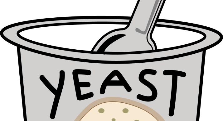 Yeast Png Transparent Images Free Download Vector Files Pngtree