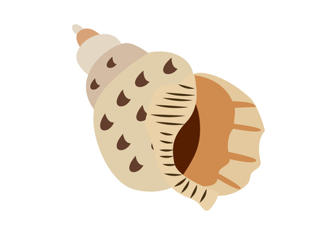 Conch Shell DXF File for CNC - Clip Art Library