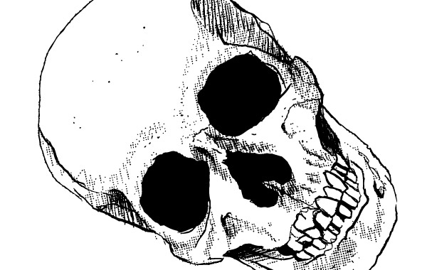 free skull clipart images