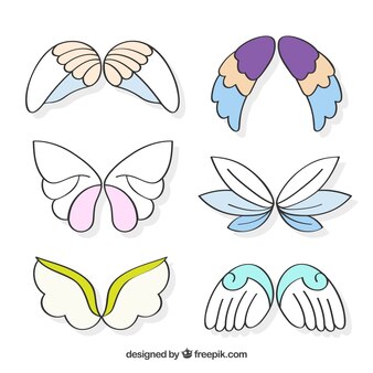 butterfly wing clipart