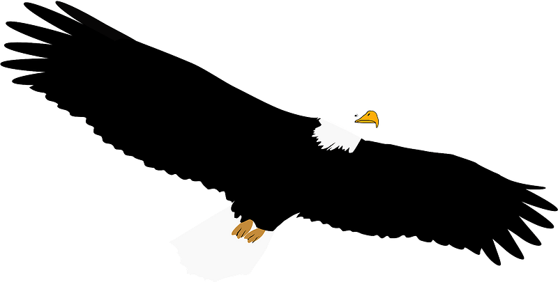 eagle flying clipart