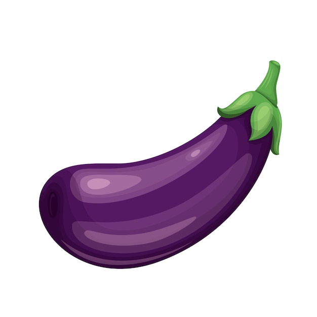 Aubergine Flat design clip art vector illustration isolated on a 