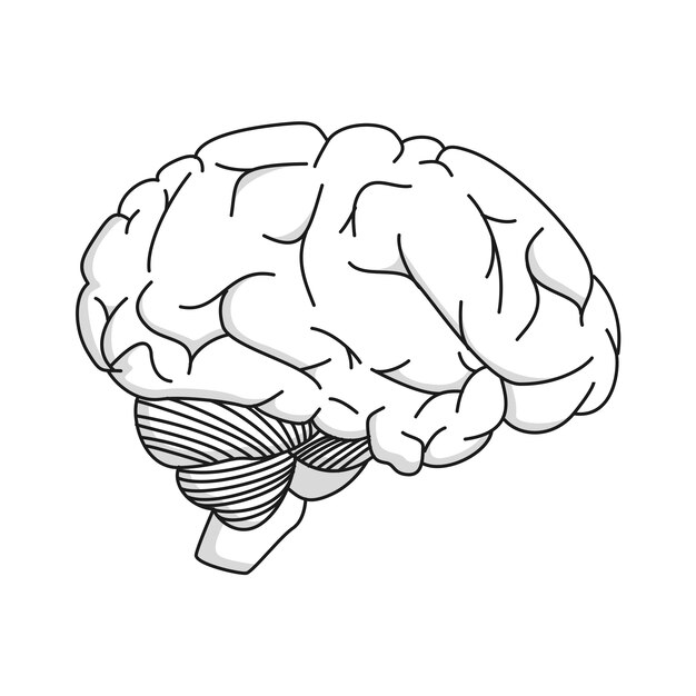 Brain, head, human, intelligence, intelligent, mind, thinking icon ...