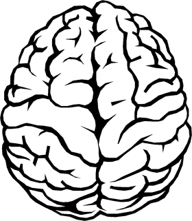 Brain Outline Clip Art at Clker.com - vector clip art online 