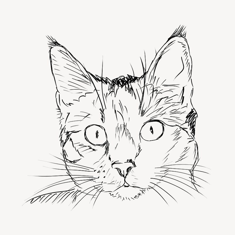 Artwork For Sticker Sneaky And Cunning Cat Contour Clear And Clip Art Library