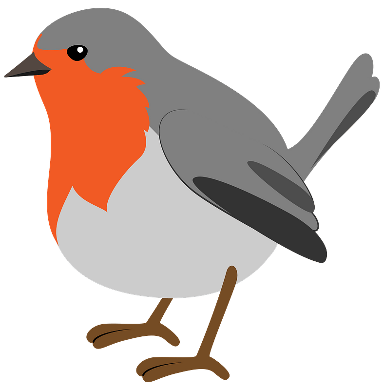 American Robin Bird Illustration Royalty Free Svg Cliparts Clip Art