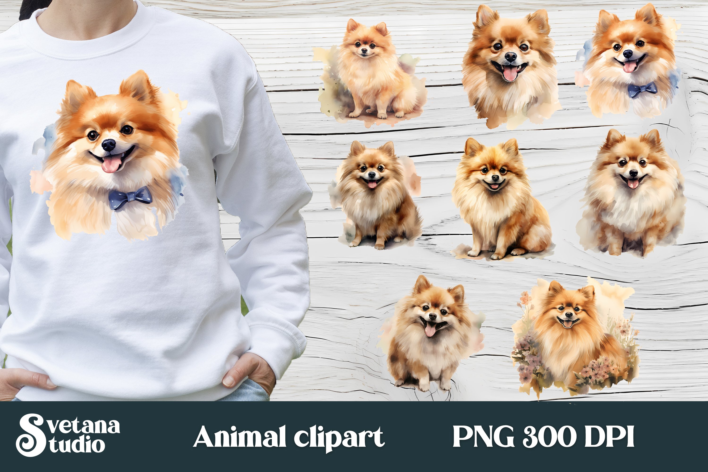 pomeranian clipart