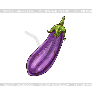 Eggplant - Free food and restaurant icons