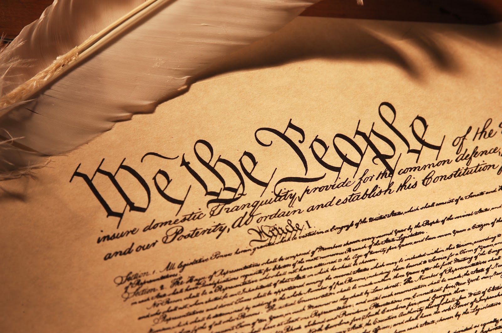 constitution clipart