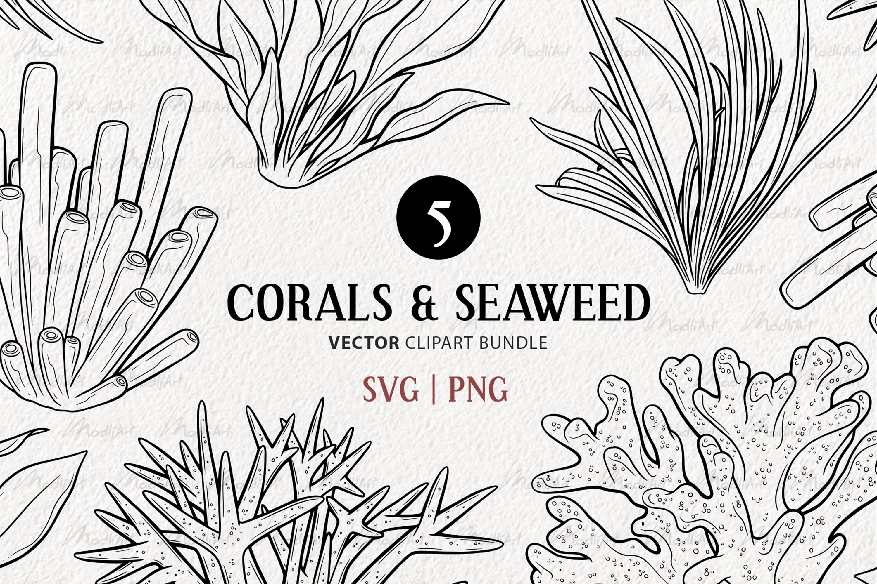 seaweed clipart