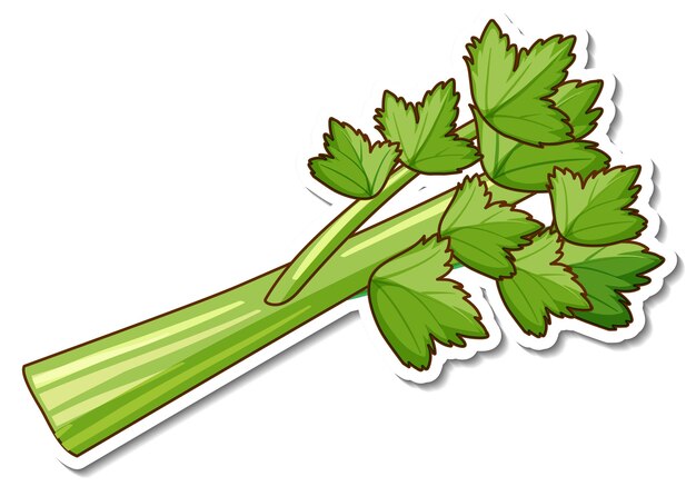 Vegetables Characters Collection Vector Illustration Of A Funny 