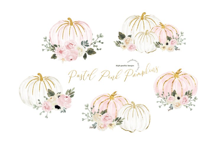 pink pumpkin clipart