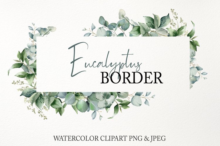 Eucalyptus Border Vector Art, Icons, and Graphics for Free Download