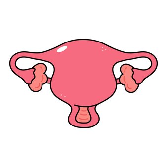 Free uterus clipart, Download Free uterus clipart png images, Free