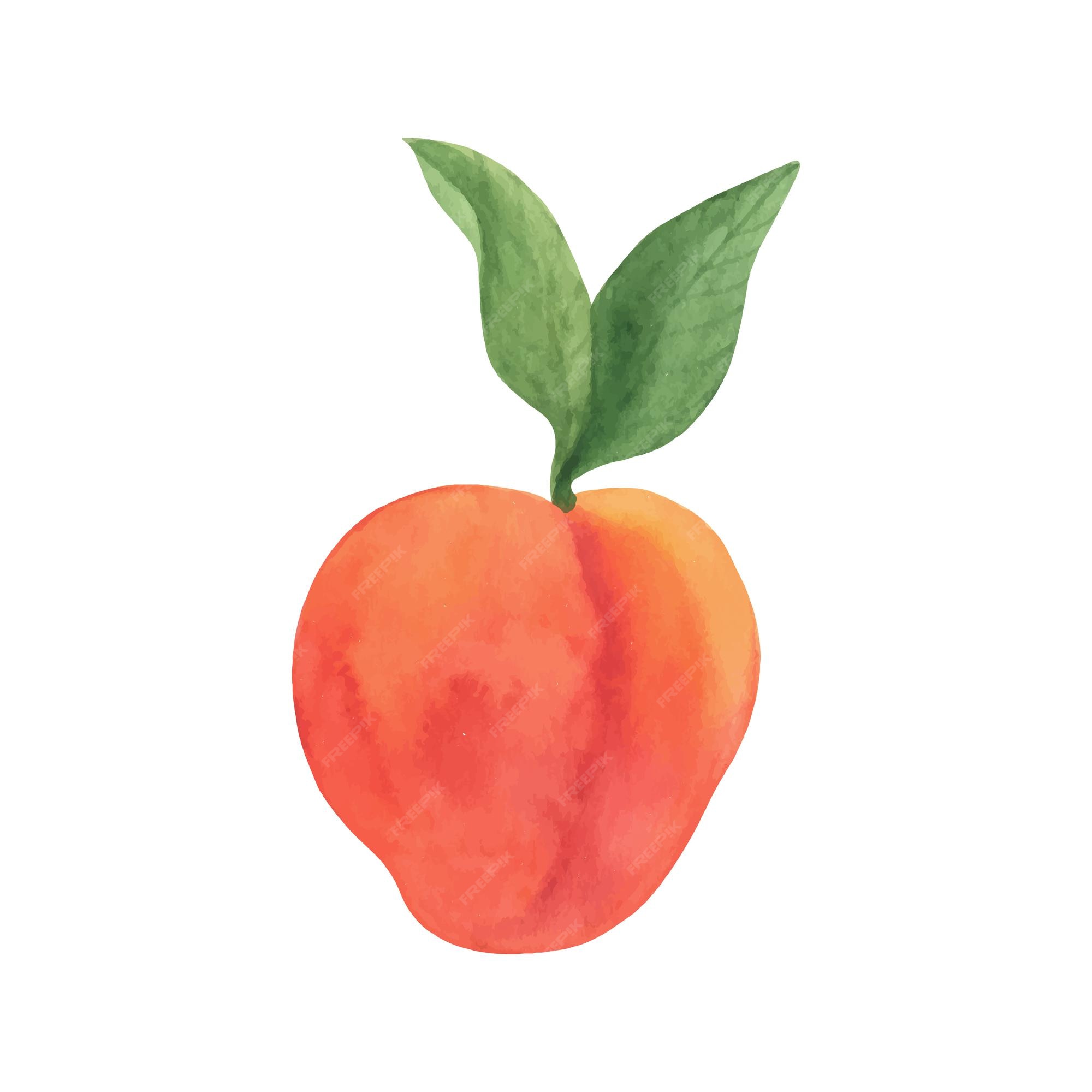 Summer Peaches Clipart Greenery Peaches Peach Fruit Clip Art Clip Art Library 8435