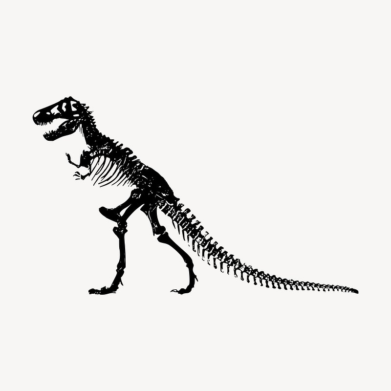 dino skeleton clipart