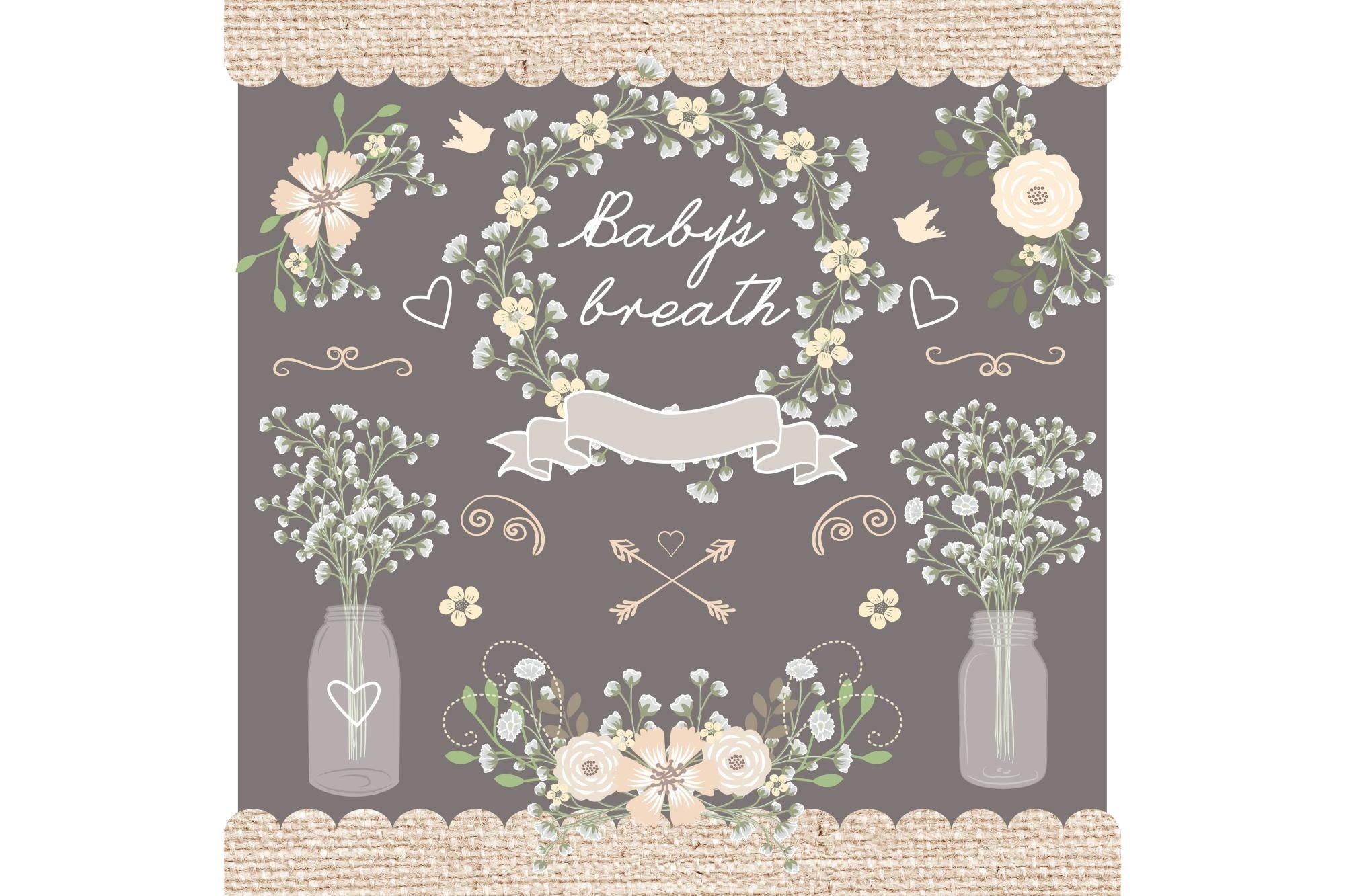babys breath clipart