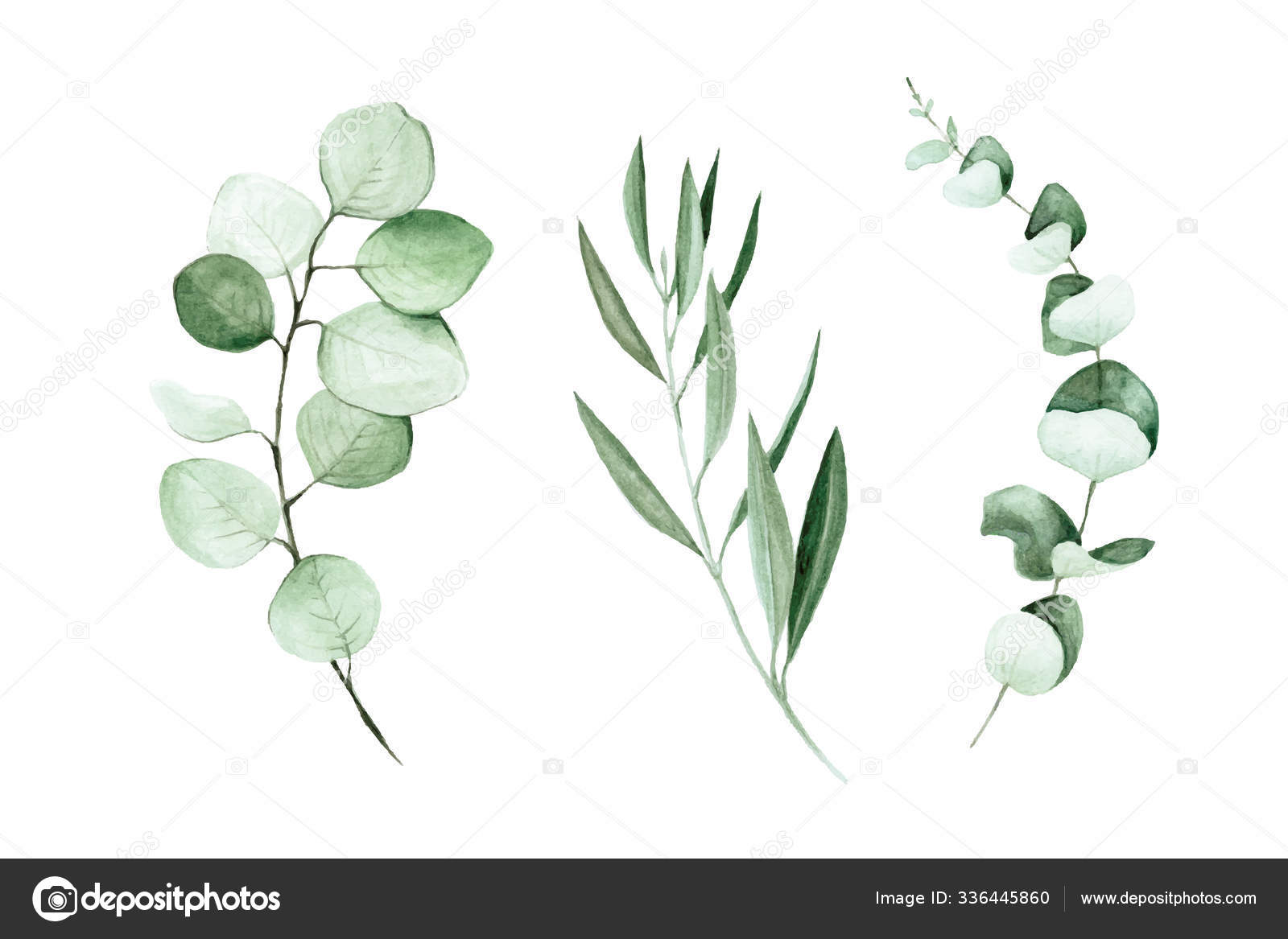 Hand Drawn Watercolor Illustration. Botanical Clipart with - Clip Art ...