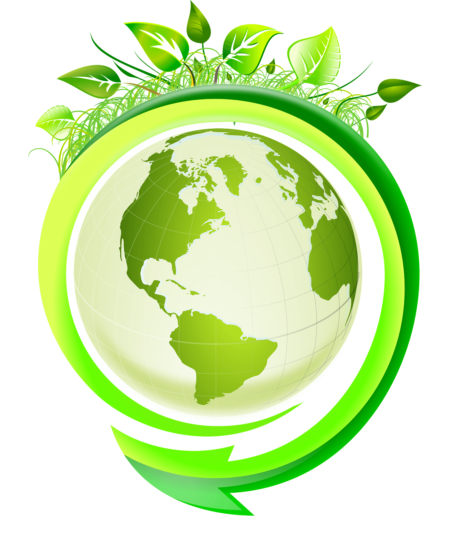 Nature Landscape With Wild Species Habitat Diversity Scene Outline 