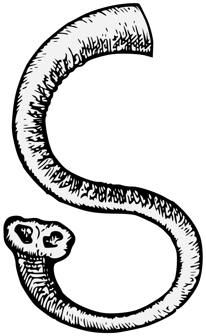 elephant trunk clipart